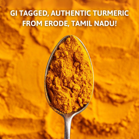 GI-tagged turmeric powder from Erode on wooden spoon – vibrant color and strong aroma