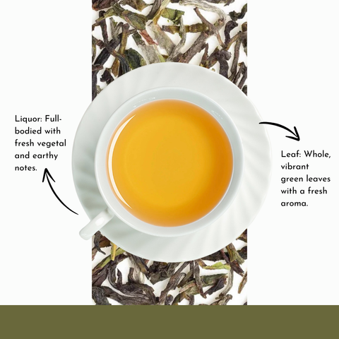 Top view of Assam Green Tea liquor in white cup