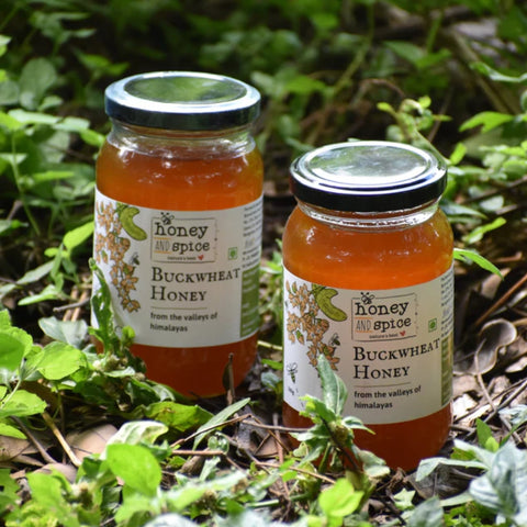 Two Buckwheat Honey jars placed in lush greenery, showcasing its natural and raw essence.