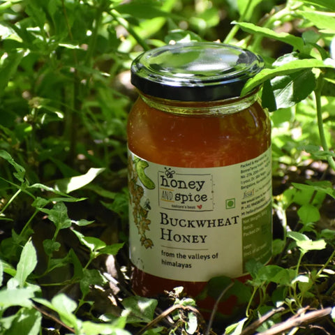 Close-up of Buckwheat Honey jar nestled in natural green surroundings, emphasizing organic appeal.