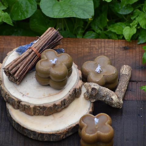 Beeswax candles with cinnamon sticks and bark displayed on wooden slices for rustic decor.