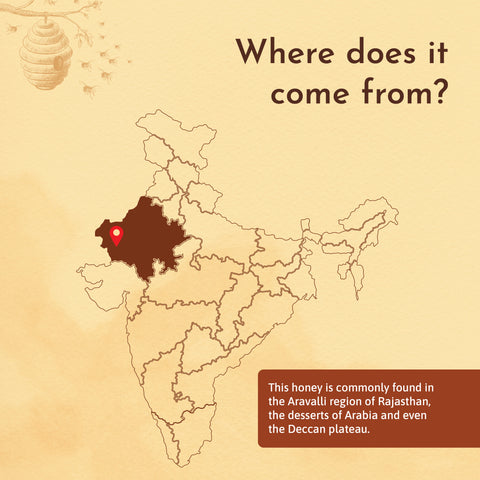 Map of India highlighting the origin of honey, with a marker placed on the Aravalli region of Rajasthan.