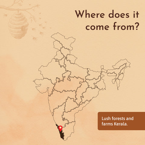 Tropical Blossom honey origin map showing sourcing from lush forests of Kerala, India