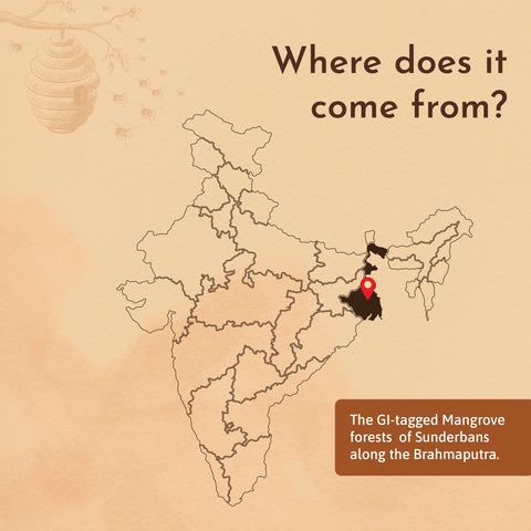 Map showing Sundarbans, India – source location of Mangrove Honey