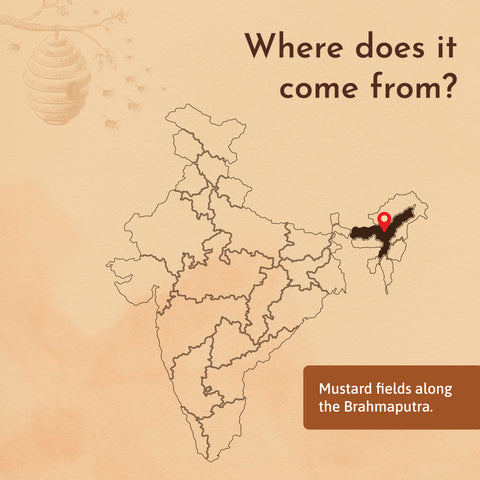 Mustard Honey origin map – sourced from the mustard fields along the Brahmaputra in India