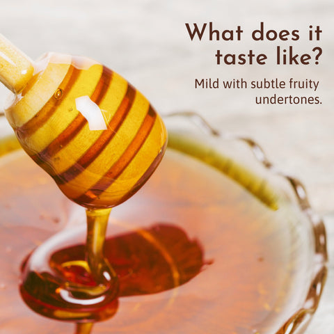 Dripping honey with taste profile text: mild flavor and fruity undertones