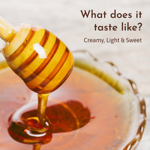 Mangrove Honey taste description – creamy, light, and sweet with mild floral notes