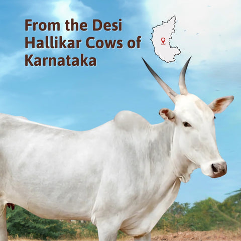 A2 Hallikar Cow GHEE