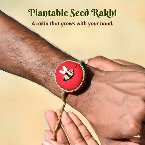 Raksha Bandhan Wellness Gift Box