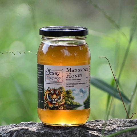 Mangrove Honey jar placed in nature – forest-sourced honey from Sundarbans region
