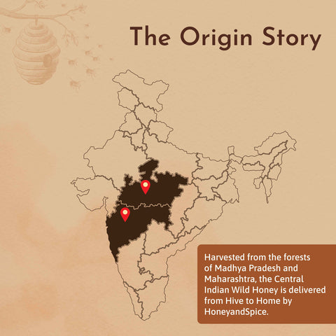 Wild Honey origin – sourced from the forests of Madhya Pradesh and Maharashtra