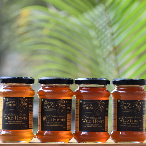 Angled view of 4 wild honey jars placed in natural light with green palm background
