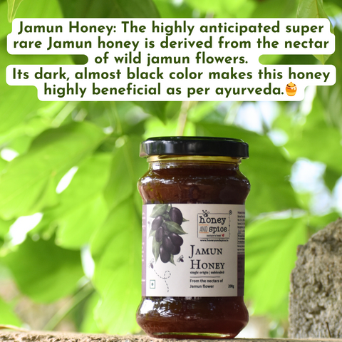 Jamun Honey - dark natural honey from jamun flowers, rich in antioxidants and Ayurveda-approved.