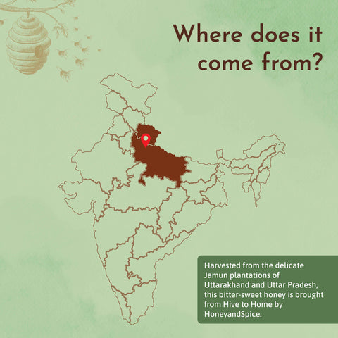 Jamun Honey source map – wild honey harvested from central Indian forest regions