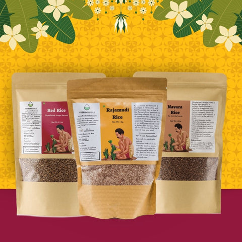 Organic rice collection featuring Rajamudi Rice, Red Rice, and Navara Rice in eco-friendly packaging on a vibrant backdrop.