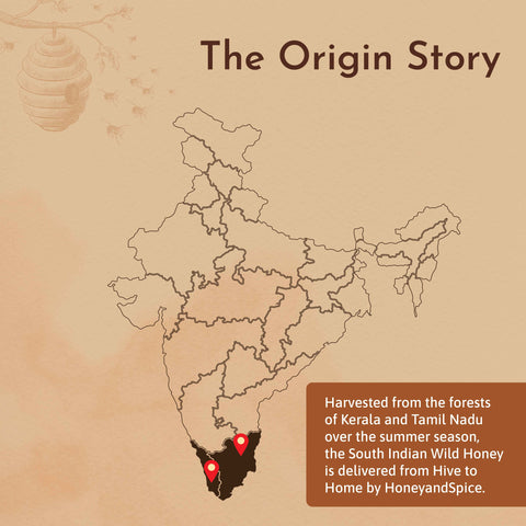 Map showing South India origin of Wild Honey with tribal sourcing info