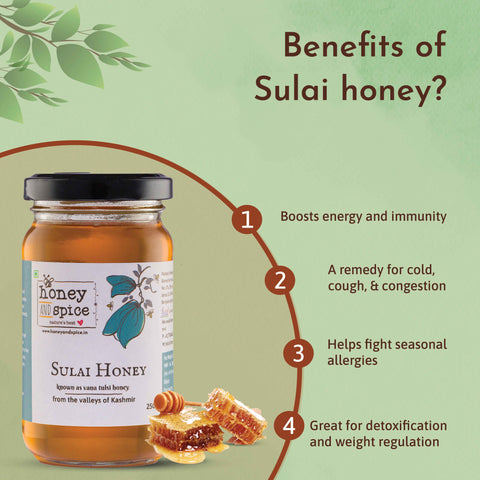 Infographic Showing Benefits of Sulai Honey – Immunity, Detox, and Seasonal Allergy Relief