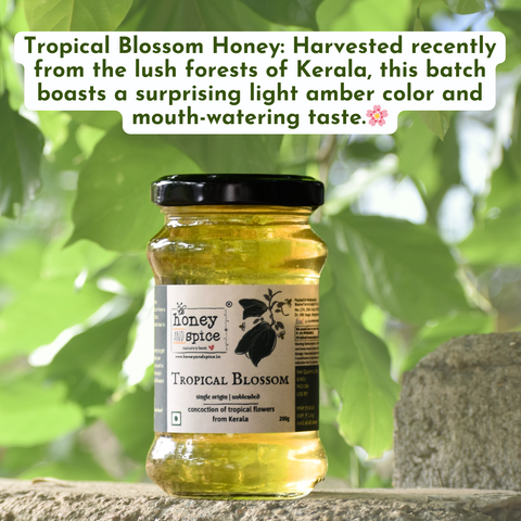 Tropical Blossom Honey - light amber natural honey, freshly harvested, perfect for daily use