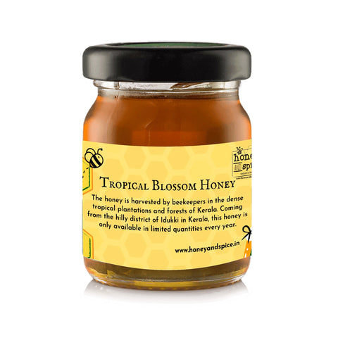 Tropical Blossom honey sample collection in elegant packaging