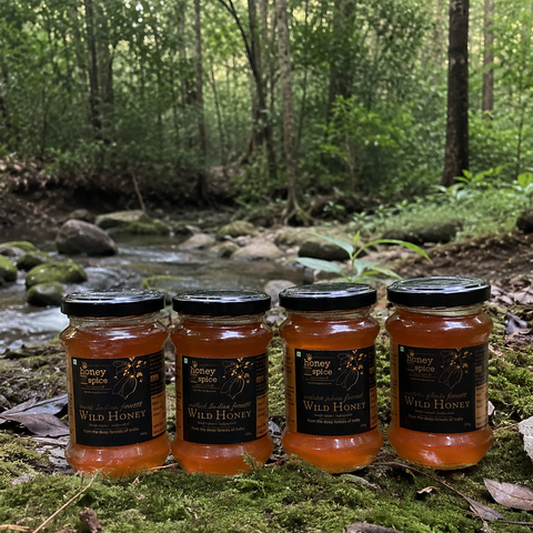 Wild Honey Combo (Pack of 4)