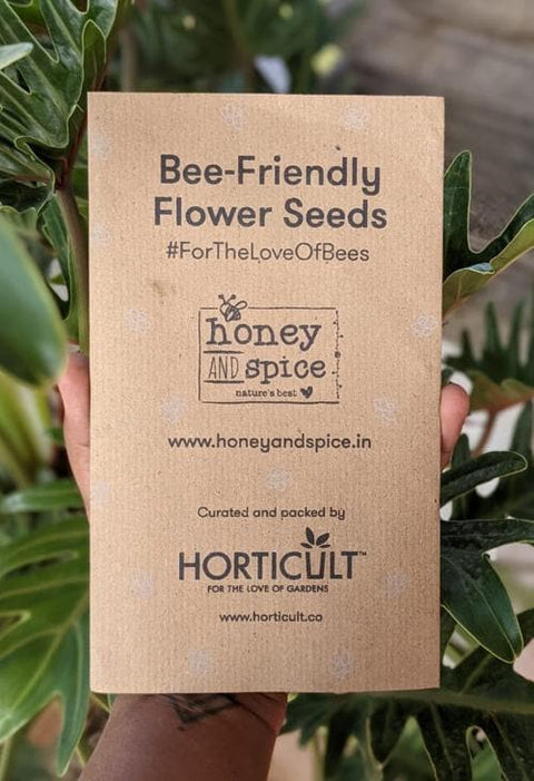 Hand holding Bee-Friendly Flower Seeds pack