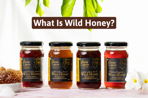 the best wild honey combo from honey and spice