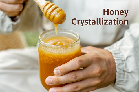 How does honey crystallize