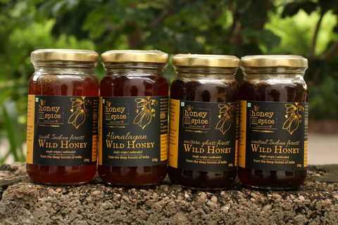 benefits of wild forest honey from honey and spice