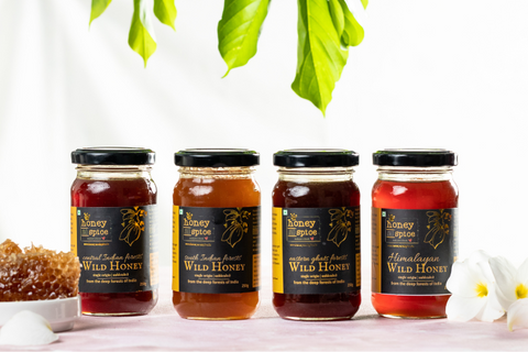 the best wild honey combo from honey and spice