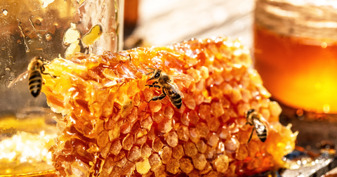 honey from honey and spice dipped with a wooden honey dipper in a glass jar