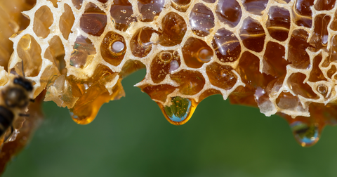 raw honey from honey and spice in a glass container 