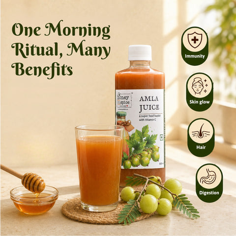 Fresh Amla Juice 500ml