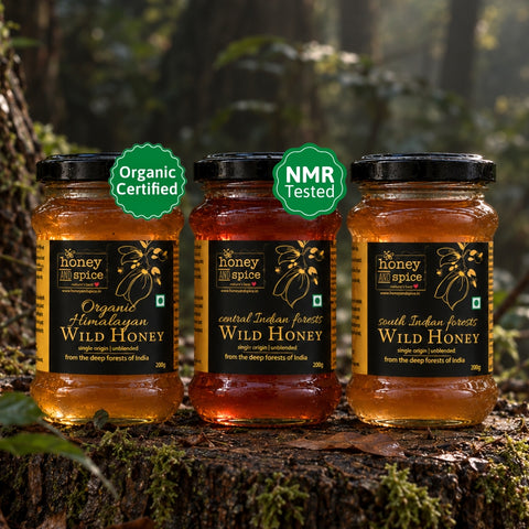 Wild Honey Combo (Pack of 3) - Himalayan, NMR Central Indian and South Indian Honey
