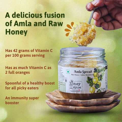 Amla Spread 350g