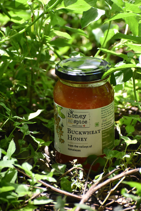 Buckwheat Honey