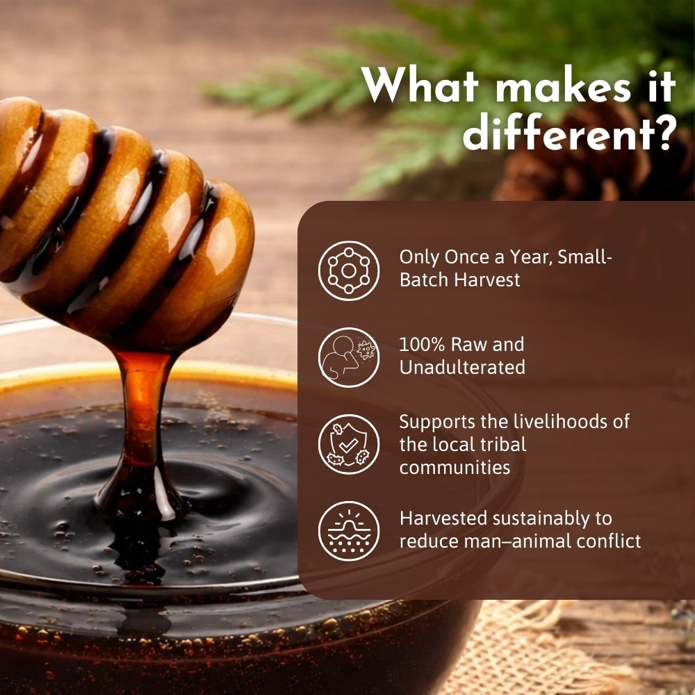 Wild Wood Honey - Dark Forest Edition