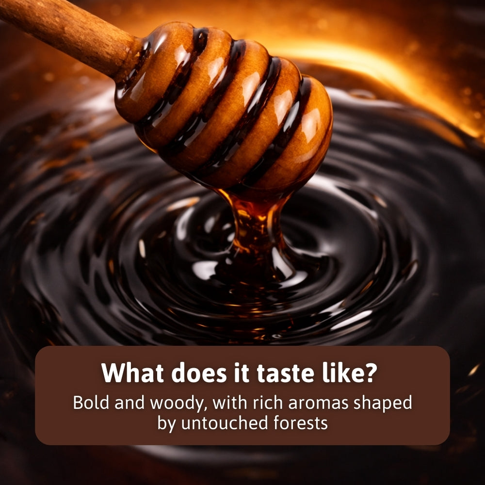 Wild Wood Honey - Dark Forest Edition